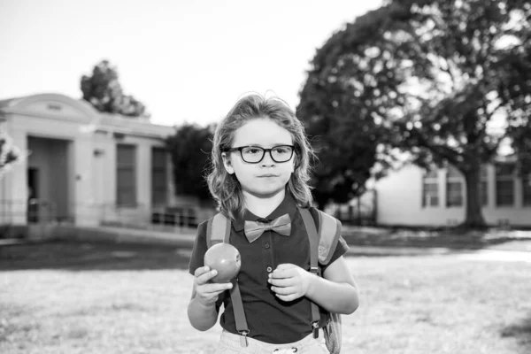 Schulkindkonzept. Netter Schüler, Kind in Schuluniform mit Rucksack im Freien. Porträt eines Nerd-Schülers. — Stockfoto