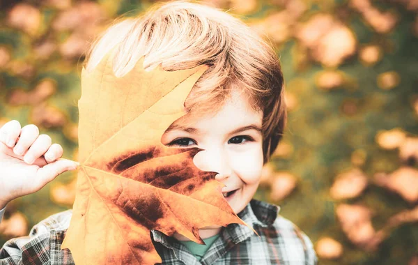 O outono deixa o miúdo. Menino feliz jogando as folhas caídas para cima, jogando no parque de outono. — Fotografia de Stock