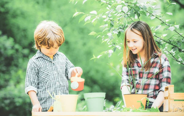 Valentine. The concept of child friendship and kindness. Daughter and son working in the farm. Children farmer concept. — Stock Photo, Image