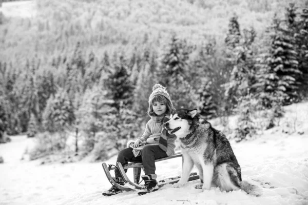小男孩抱着狗,在雪地里玩得很开心.冬天旅行的孩子. — 图库照片
