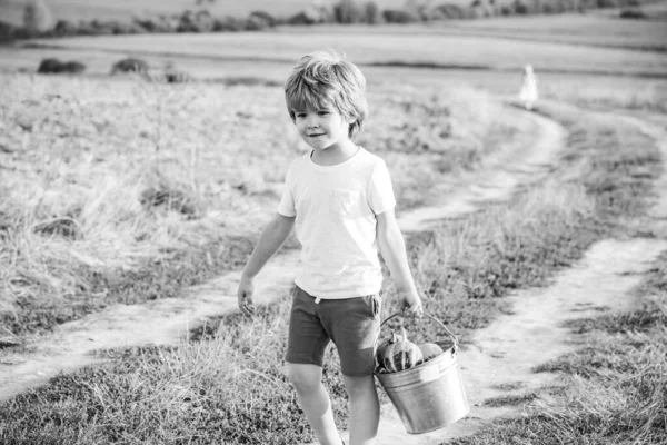 Njut av stunden. Gå på landet. Känslomässigt barn gå utomhus och njuta av promenader. En söt liten unge ler. Charmerande pojke. Lycklig liten unge. — Stockfoto