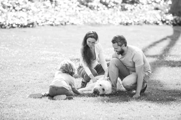 Familie luând câine pentru plimbare în mediul rural. Portret în aer liber al familiei fericite în parc de vară, cuplu tânăr cu băiat copil pe iarbă . — Fotografie, imagine de stoc