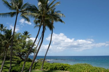 Manzaralı Hawaii manzarası. Hawaii, Maui Adası Sahili..