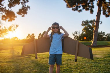 Gün batımının arka planında karton bir uçakla oynayan tatlı hayalperest çocuk. Çocukluk. Hayal gücü.
