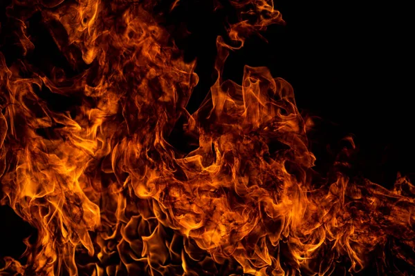 Fire flames on black background. Fire burn flame isolated, abstract texture. Flaming effect with burning fire