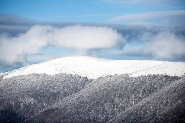 Zimowy Las Bożego Narodzenia Opadającym Śniegiem Drzewami Zimne Śnieżne Góry — Zdjęcie stockowe
