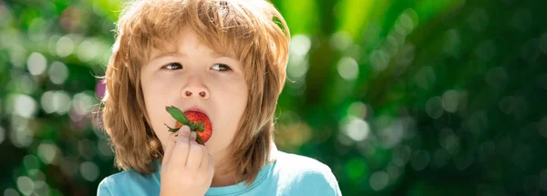 Banner mit Frühlingskinderporträt. Kinder pflücken frische Bio-Erdbeeren. Glücklicher kleiner Junge isst Erdbeeren. — Stockfoto