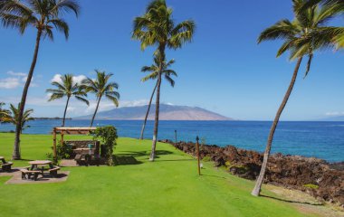 Kum, okyanus, palmiye yaprakları, palmiye ağaçları ve mavi gökyüzü olan tropik deniz plajı. Yaz sahili geçmişi.