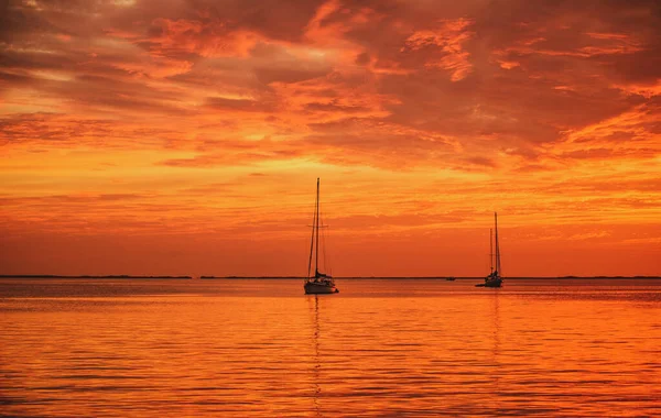 Yachting cruise. Seilbåter ved solnedgang. Sjøseilas på vann. – stockfoto