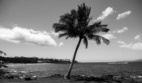 Playa en Hawaii, Paisaje de ensueño. Paradise Sunny beach con mar turquesa. Vacaciones de verano y concepto de playa tropical. —  Fotos de Stock