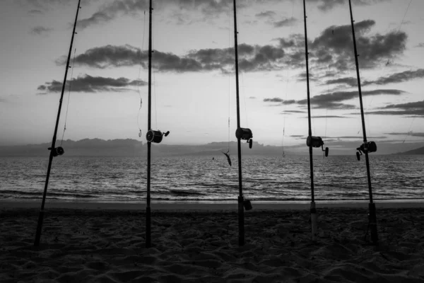 Bâtonnets de pêche sur un beau paysage marin. Sanset sur mer. — Photo