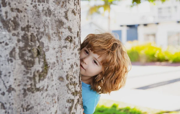 Kids active games. Playing hide and seek. Peekaboo. Little boy hiding by tree. — Stock Photo, Image