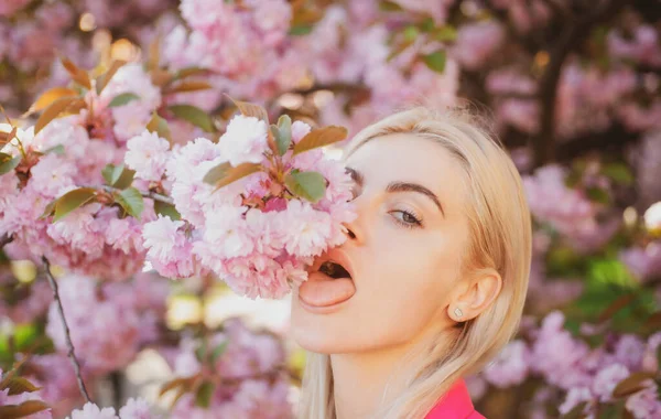 Egy lány virágos cseresznyés szakurában. Szabadtéri portré gyönyörű érzéki divat lányok pózol közelében virágzó fa rózsaszín virágok. — Stock Fotó