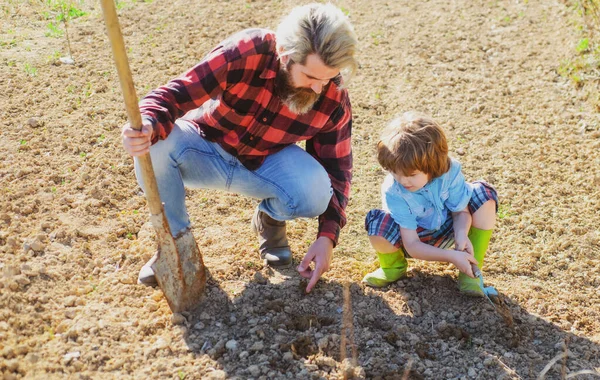 父は息子と植物を播種する。庭の庭で子供の園芸を助けるお父さん。庭師家. — ストック写真