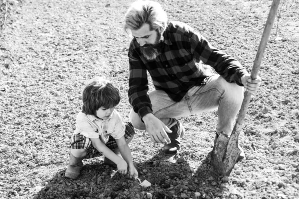 Papá e hijo en el jardín. Concepto de plantación y jardinería. Cosecha de primavera. — Foto de Stock