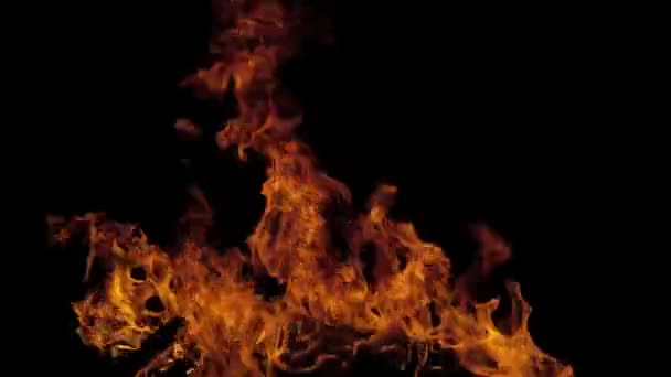在黑色背景上开火。火焰，燃烧的灯。文摘:火灾背景，大型火灾. — 图库视频影像