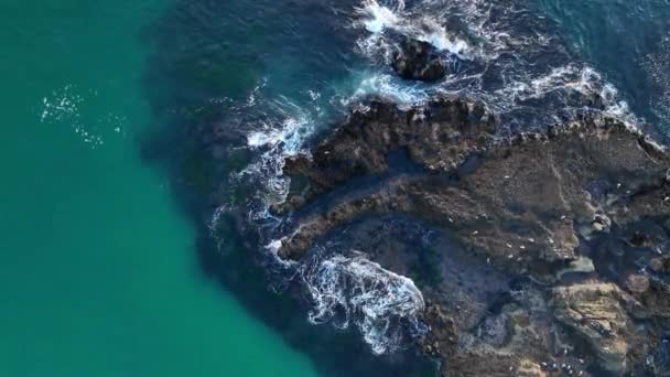 Wave coast, ocean waves breaking over rocks. Waves splashing on rocks in sunny day. — Stock Video