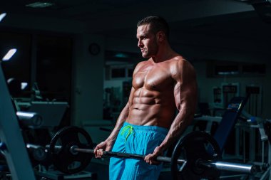 Spor adamı halter kaldırarak biceps yapıyor. Spor salonunda egzersiz yapan kaslı bir adam. Güçlü erkek, çıplak karın kasları..