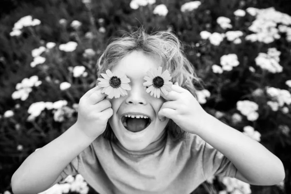 Funny Boy Kid and Daisies. Šťastné světlovlasé dítě s květinovýma očima na trávě s květinami sedmikrásek. Dítě sní a usmívá se proti heřmánkovému poli. — Stock fotografie