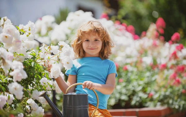Милый малыш поливает растения лейкой банкой в саду. Ребенок помогает родителям выращивать цветы во дворе. Активный отдых с детьми на свежем воздухе. — стоковое фото