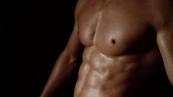 Pecho masculino desnudo aislado sobre fondo negro. Torso bombeado. Torso desnudo sexy, seis abdominales. Varón flexionando sus músculos. Modelo masculino muscular, atlético con ab, abdominales o sexpack. — Vídeos de Stock