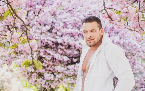 Bonito homem da Primavera. Flor de sakura rosa. Na Primavera. Homem barbudo de camisa branca. Moda masculina. — Fotografia de Stock