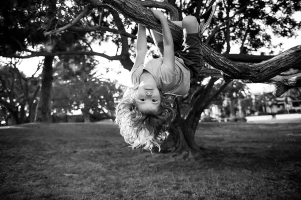木の上の子供。保険の子供たち。子供のための健康保険の概念。医療保護。ジャングルの森公園の屋外で遊んで木から登る子供. — ストック写真