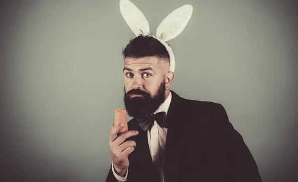 Zabawny króliczek w Wielkanoc. Wesołych Świąt. Obgryza marchewkę jak zając. Wiosenne wakacje i Wielkanoc. Zabawne przygotowania do Wielkanocy. Kopiuj miejsce na wiosenne wakacje. — Zdjęcie stockowe