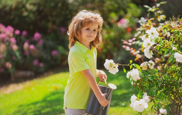 Criança bonito regar flores no jardim no dia de verão. Criança usando regador no dia de verão. Pequeno ajudante.. — Fotografia de Stock