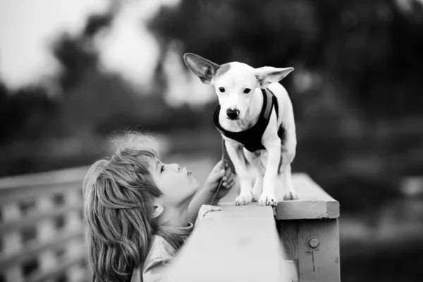 Niño lindo siente ternura y perdón. Concepto de mascotas cuidadoras. Lleva pequeño perro, emociones tiernas, cuidado y amor a cachorro pequeño. —  Fotos de Stock