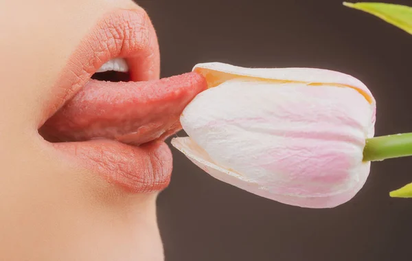 Oral sex, licking flower. Sexy lips with tulips. Blowjob and kiss, sensual tongue licks tulip. Sexy female mouth and spring flowers. — Stockfoto