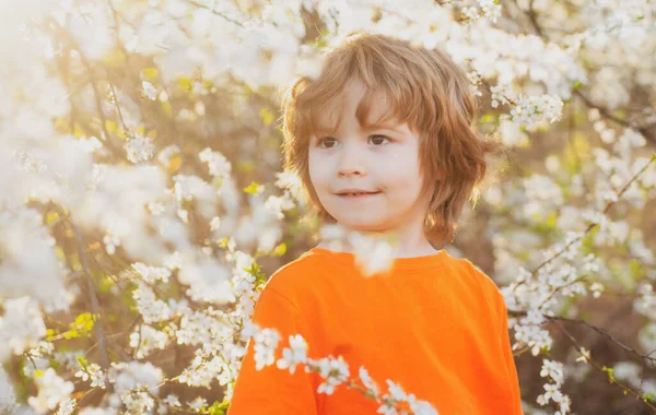 Rapaz da Primavera no parque em flor. Miúdo sorridente ao ar livre. Árvore florescente no parque. — Fotografia de Stock