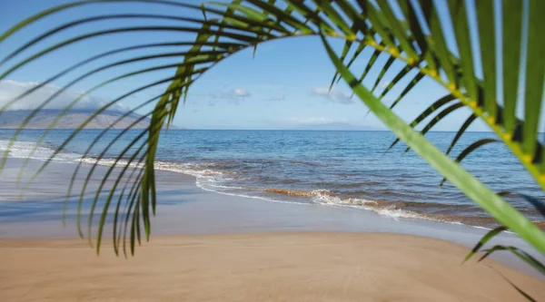 Idyllic scene beach in Thailand. Tropical blue sea and a sand beach background. Green leaves of palm tree. — Stock Photo, Image
