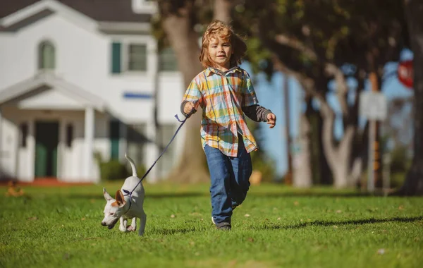 Assicurazione bambini. Ragazzino che corre con il cane, gioca proprietario e animale domestico nel prato estivo. Buon Cucciolo. Famiglia, genitorialità, concetto di infanzia. — Foto Stock