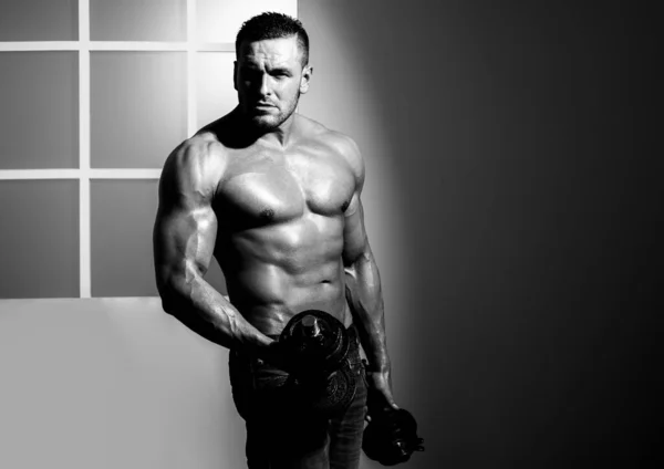 섹시 한 근육질 몸체. 강한 용기를 가진 사람이 덤블 벨을 가지고 운동 한다. 체중을 절약하는 남자. — 스톡 사진