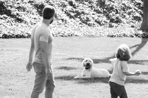 Visão traseira da família com cão relaxante no parque. — Fotografia de Stock