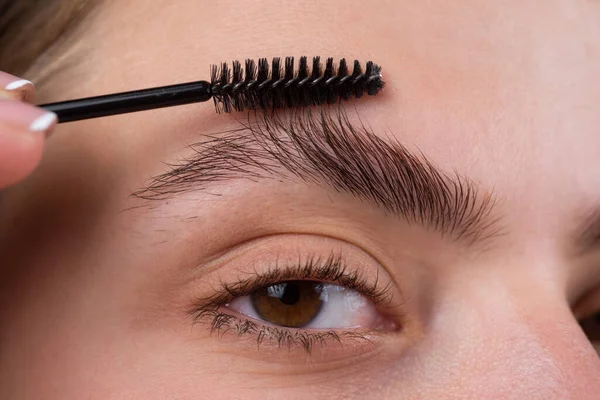 Modeling brows, gorgeous charming lady with beauty face, healthy clear skin, holds brush in hand and paint her eyebrows. Macro close up of brows. — Stock Photo, Image