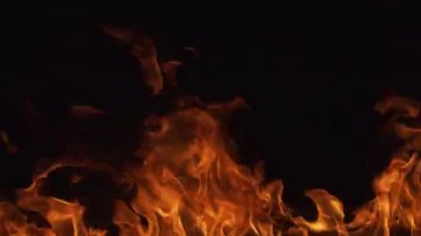Alevli bir ateş. Ateş alevleri, kırmızı ve sarı, yakıtta termal enerji. Siyah arkaplanda yanan ışıklar.