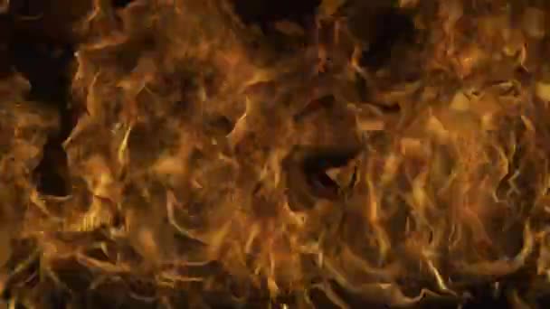 Fire on a black background. Abstract fire flame background, large burning fire. Glow shine light flame. Explosion fire effect. — Stock Video