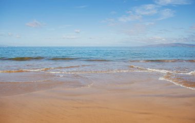 Tropik plaj geçmişi. Sakin turkuaz dalgalı kumsal. Maldivler, mükemmel manzara, kopyalama alanı.