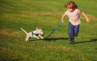 Parktaki çimlerde koşan ve köpekle oynayan bir çocuk. Sahibi olan evcil hayvan. Köpekçik kuyruğunu kaldırdı..