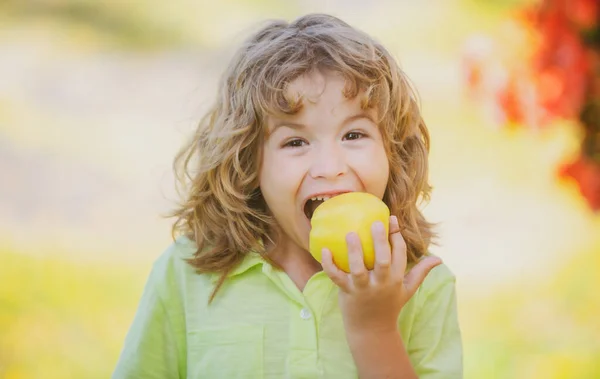 Gezond eten. Gelukkig klein kind met appels in de zomer groen park. — Stockfoto