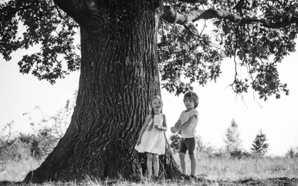 田舎の幸せな子供たち。木の子供を登る。小さな男の子と女の子の森の中で高い木に登る。高所恐怖症を克服する。小さなロマンチックな子供たち. — ストック写真