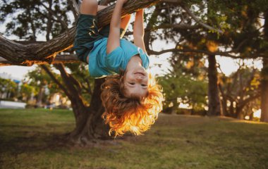Çocuk ağaca tırmanıyor, çocuk parkta oynuyor ve tırmanıyor. Küçük çocuk bahçede eğleniyor..