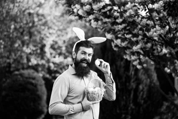 Legrační muž v králičím kostýmu s velikonočními vejci. — Stock fotografie