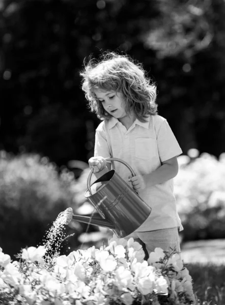 Дитячий полив рослини з лійкою . — стокове фото