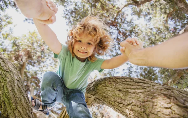 Отец помогает сыну залезть на дерево. Отцовская рука. Защита детей. Здоровый образ жизни родителей. — стоковое фото