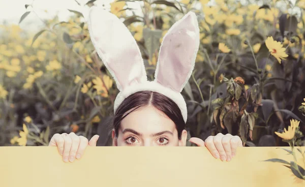 Sonríe pascua. Lindo conejo. Vestido de conejo de Pascua. Feliz huevo de Pascua. Copia cpase . — Foto de Stock