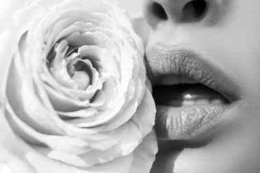 Dudakları rujla yakın plan. Şefkat pembe gül. Dudaklar önemser. Şefkatli kadınlar pembe güllü dudaklar. Şefkatli kadın. Şefkat ve şefkat kavramı. Güllü bir kadın ağzı.