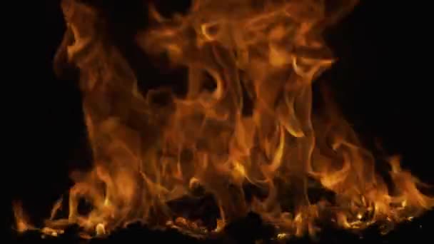 Ďábelský plamen, pekelný koncept. Palte na černém pozadí. Abstraktní požární plamen pozadí, velký hořící oheň. — Stock video